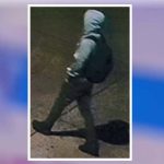 Women fight off attacker in 2 Logan Square sexual assaults: CPD