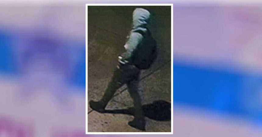 Women fight off attacker in 2 Logan Square sexual assaults: CPD