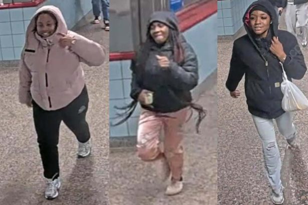 Women seen smiling and laughing after robbing Red Line passenger at knifepoint in downtown Chicago