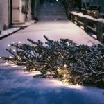 Your 5-Step Guide to Treecycling