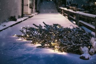 Your 5-Step Guide to Treecycling