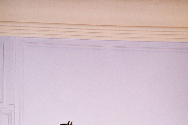 Stine Goya Copenhagen Fall 2026 Collection