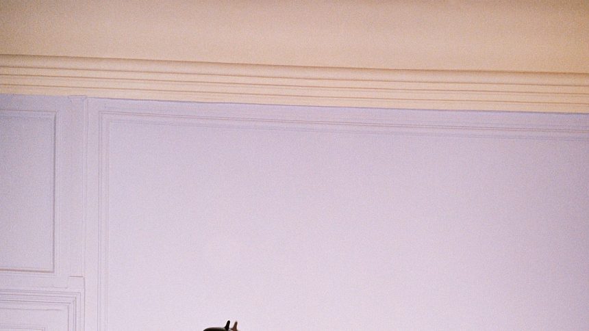 Stine Goya Copenhagen Fall 2026 Collection