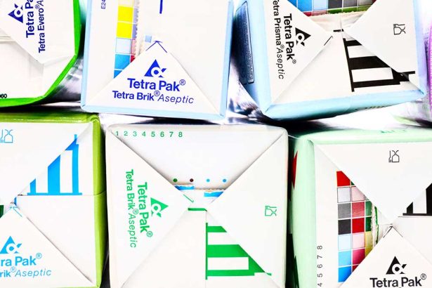 10 Creative Ways to Reuse Milk and Juice Cartons