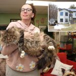 100 cats rescued from breeder’s ‘deplorable’ urine-drenched Long Island home