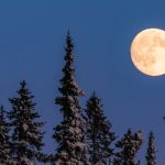 How to Take Advantage of January’s New Moon and the Fresh Energy It Brings