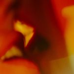 Karmic Relationship, Defined | Vogue