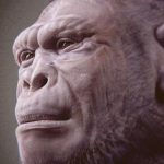 2-Million-Year-Old Fossil May Be The Oldest Example of an Early Human : ScienceAlert