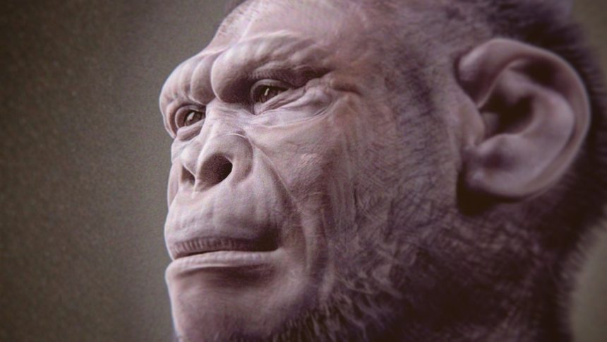 2-Million-Year-Old Fossil May Be The Oldest Example of an Early Human : ScienceAlert