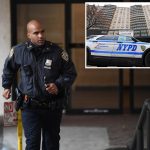 2 dead in apparent botched NYC murder-suicide as 86-year-old woman clings to life: sources