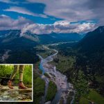 2 hikers in Olympic National Forest killed after tree falls on popular trail