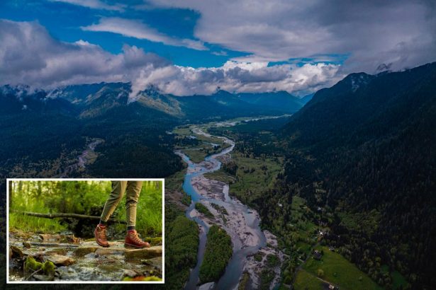 2 hikers in Olympic National Forest killed after tree falls on popular trail