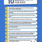 300+ Amazing Animal Facts for Kids