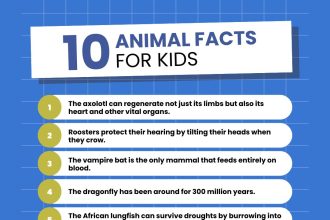 300+ Amazing Animal Facts for Kids