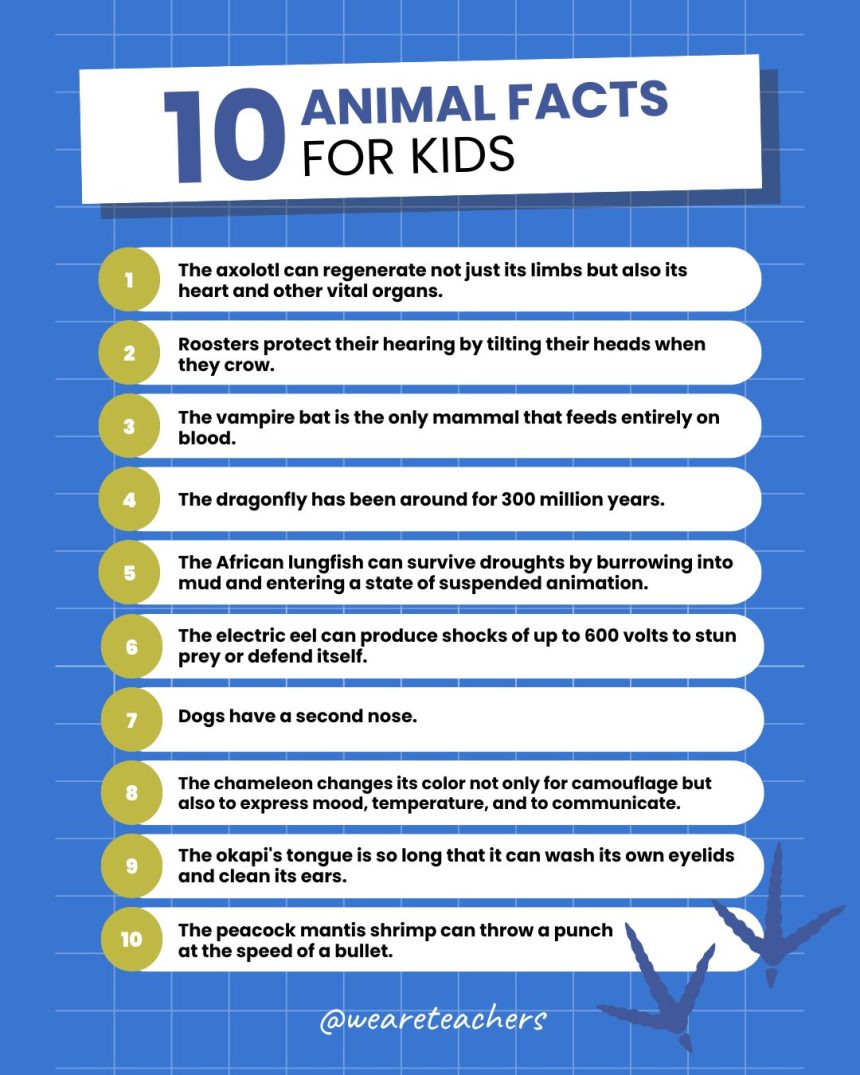 300+ Amazing Animal Facts for Kids