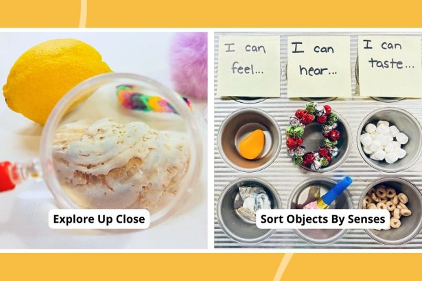 35 Engaging Five Senses Activities Young Learners Love