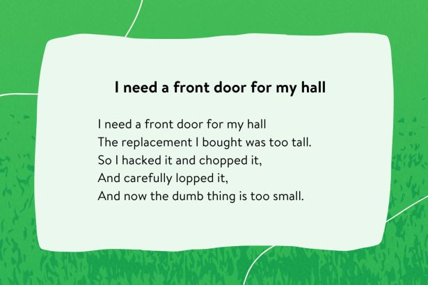40 Silly and Fun Limericks for Kids