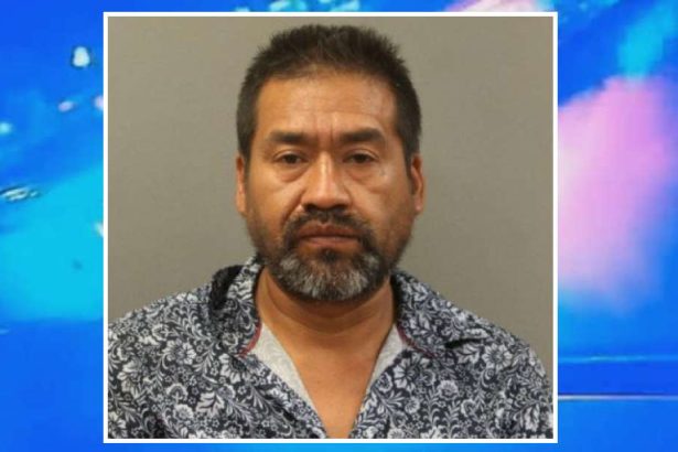 40 year sentence for beating man to death with Grey Goose bottle