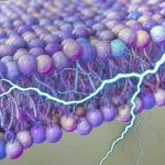 A Hidden Source of Power May Have Been Discovered Surrounding Our Cells : ScienceAlert