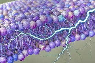 A Hidden Source of Power May Have Been Discovered Surrounding Our Cells : ScienceAlert