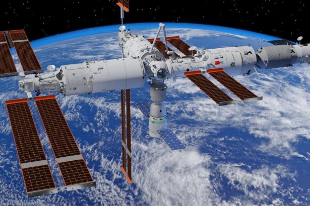 A Mouse Just Gave Birth After Going to Space. Here’s Why That’s a Big Deal. : ScienceAlert