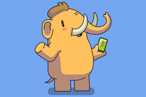 A beginner’s guide to Mastodon, the open source Twitter alternative