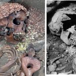 A foraging teenager was mauled by a bear 27,000 years ago, skeleton shows