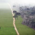 A major agreement to protect the Amazon is falling apart after 20 years