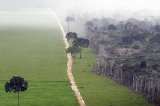 A major agreement to protect the Amazon is falling apart after 20 years