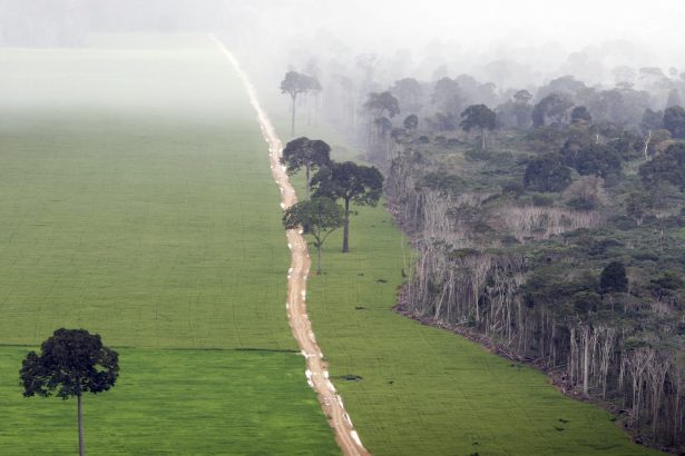 A major agreement to protect the Amazon is falling apart after 20 years