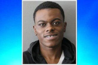 Abandoned by accomplices, armed carjacker racks up enough credit to skip prison