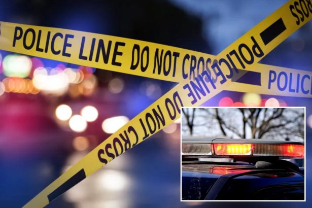 Accused killer claims he heard ‘AI voices’ before murdering his grandmother: cops