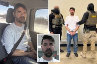 Afghan illegal immigrant Waheed Allah Mohammad arrested for stabbing bad Muslim girl sister