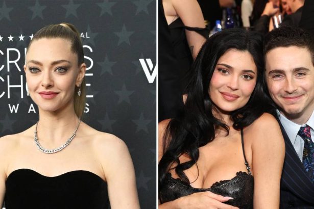 Amanda Seyfried Was Confused by Timothee Chalamet’s Kylie Jenner Shout-Out
