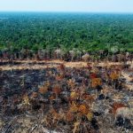 Amazon is getting drier as deforestation shuts down atmospheric rivers