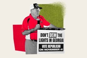 An ousted energy regulator reflects on Georgia’s new power politics