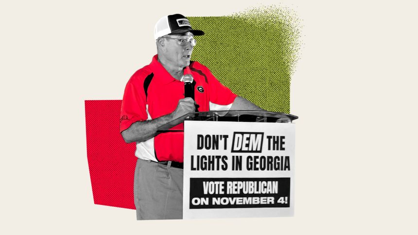 An ousted energy regulator reflects on Georgia’s new power politics