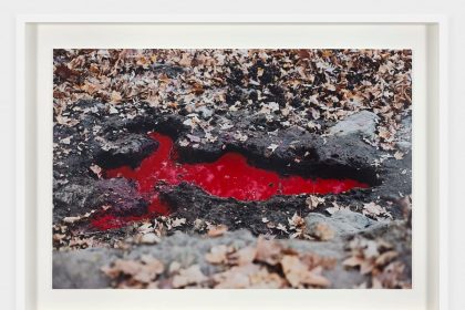 Ana Mendieta’s Injured Earth