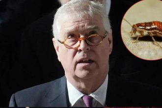 Andrew Windsor Leaves Taxpayers Fuming Over Bug Removal Bill