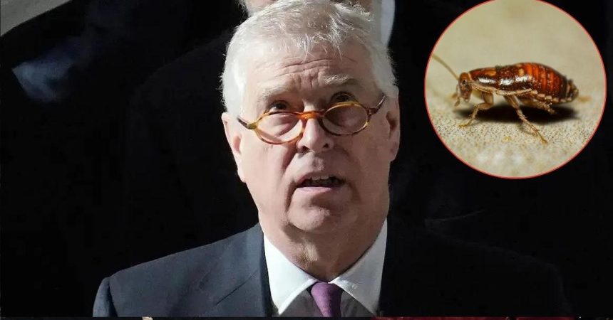 Andrew Windsor Leaves Taxpayers Fuming Over Bug Removal Bill