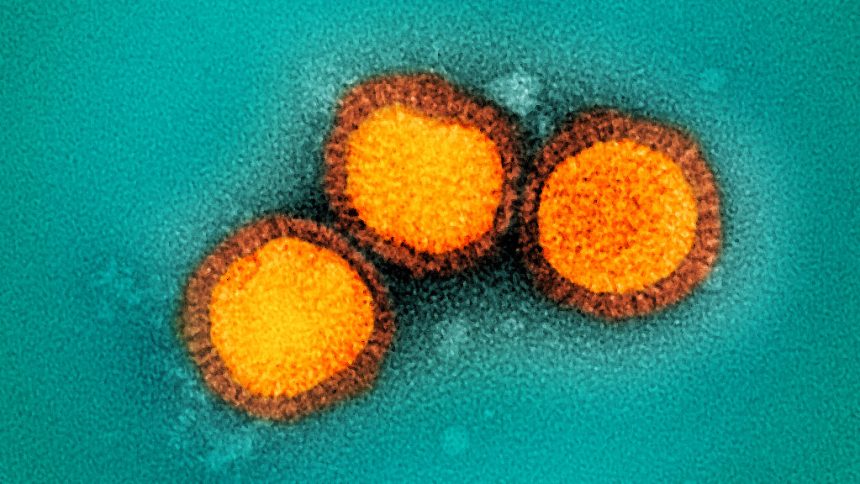 Annual flu data, antidepressants, FDA wearables: Morning Rounds