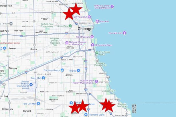 Armed carjacking crew has struck from Goose Island to South Shore, CPD says