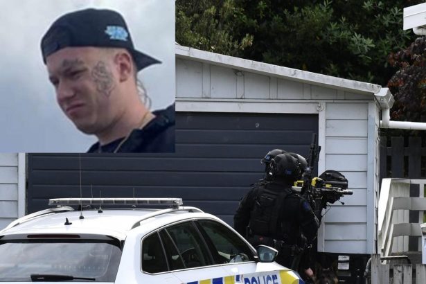 Armed police arrest three after Dunedin manhunt