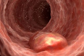 Barnacle gloop could improve inflammatory bowel disease treatments