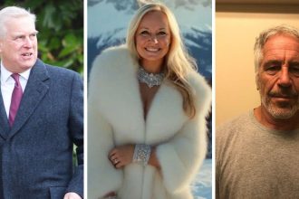Beauty Queen Claimed Epstein Offered Meeting With Prince Andrew