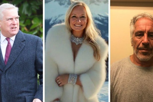 Beauty Queen Claimed Epstein Offered Meeting With Prince Andrew