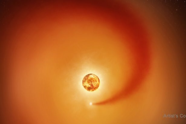 Betelgeuse Is Definitely Not Alone, 8-Year Study Confirms : ScienceAlert