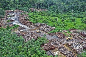 Biodiversity loss ‘threat to security’