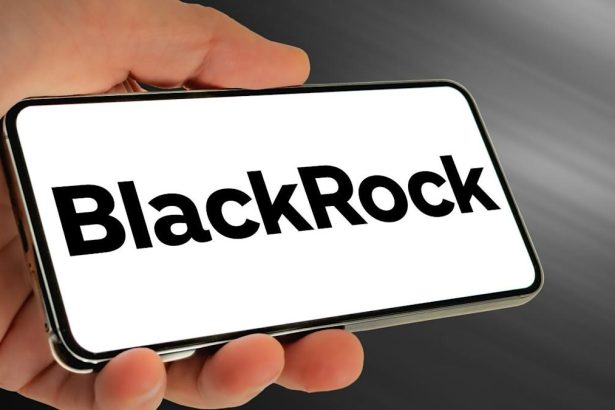 BlackRock to trim around 1% of global headcount – report