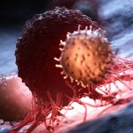 Blocking One Protein Slows Cancer Growth in Mice, Scientists Discover : ScienceAlert